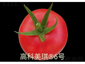 �߿�����6̖-���ѷN��-���S�N�I