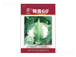 隆雪60-天隆在田-天隆農(nóng)業(yè)