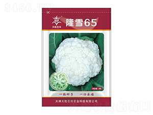 ¡ѩ65-��¡����-��¡�r�I