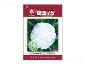 ¡ѩ75-��¡����-��¡�r(n��ng)�I(y��)