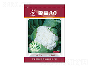 隆雪80-天隆在田-天隆農業