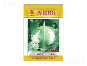 ¡��60-��¡����-��¡�r�I