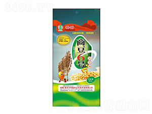 �̶�6̖�󶹷N-�S���r�I