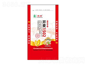 開麥1502小麥種子-棒神-豐田農業