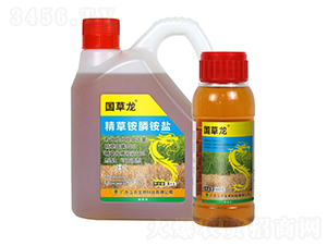 10%�����@�-������-�V�|���r