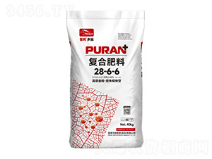 ������������ʧ�����͏ͺϷ���28-6-6-���۶�ʩ