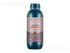 �ع�����ø-���_��