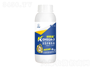 ���ϩ�~��-���J��-���r��