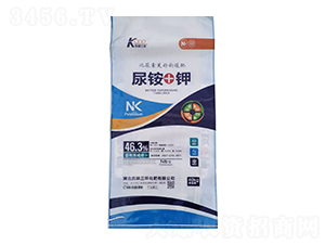 46.3%���@+�-�P�����h