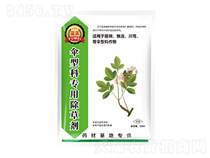 ǰ��/����/��ܺ���Ϳƌ��ó��݄�-����