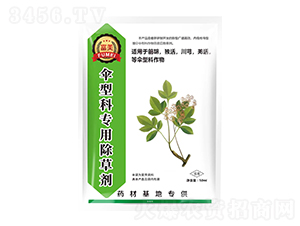 ǰ��/����/��ܺ/Ǽ����Ϳƌ��ó��݄�-����