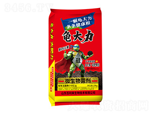 ΢�������-������-������