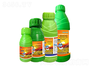 ���_(d��)ͨ�w����(zhu��n)������-����r(n��ng)�I(y��)