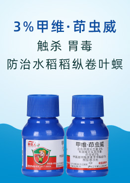 �����I���r�I�Ƽ����޹�˾